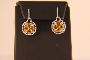203 10000 Dia Fancy Colored Stones