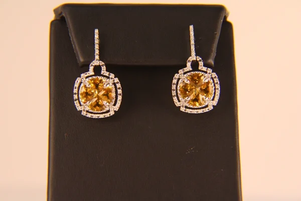 203 10000 Dia Fancy Colored Stones